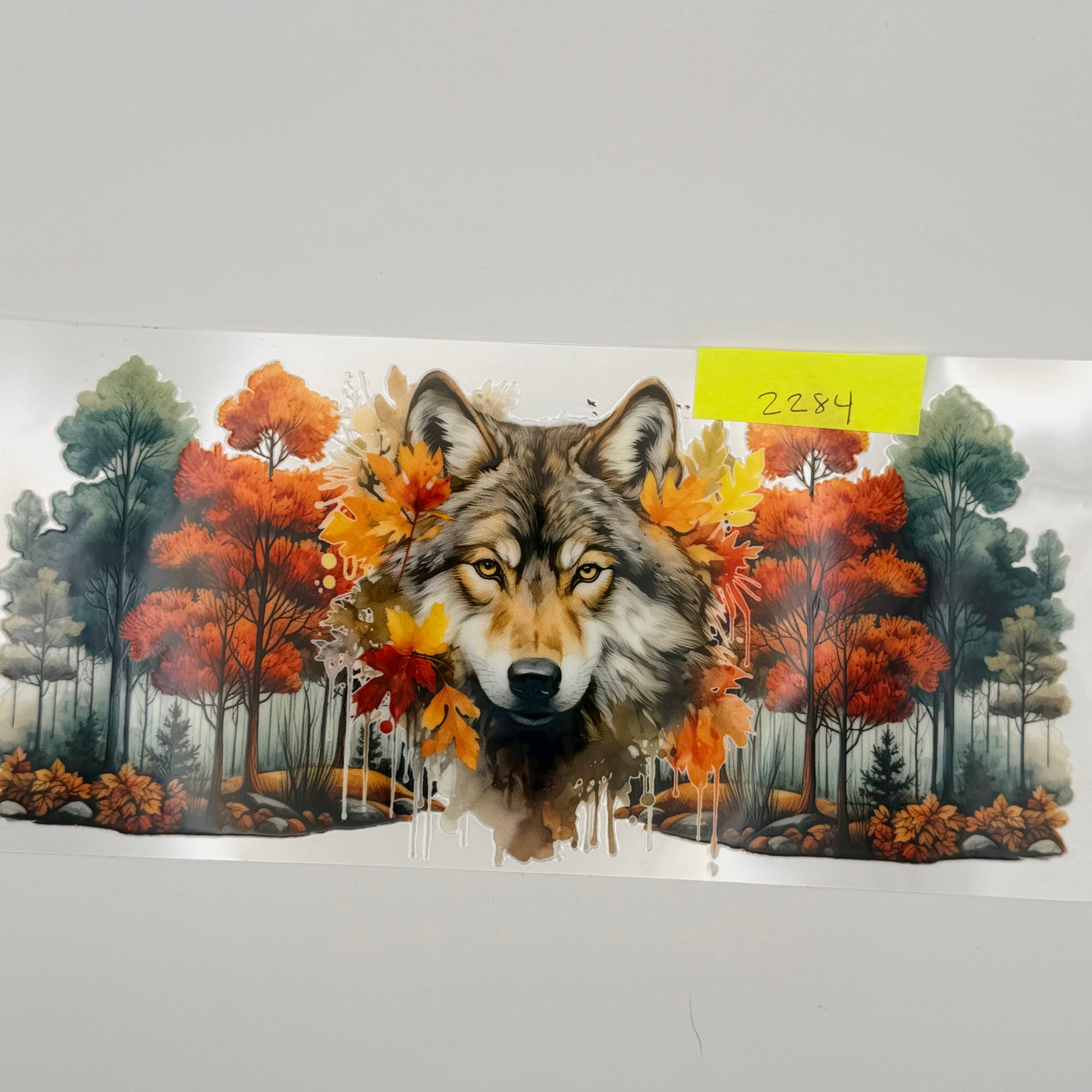 wolves & trees