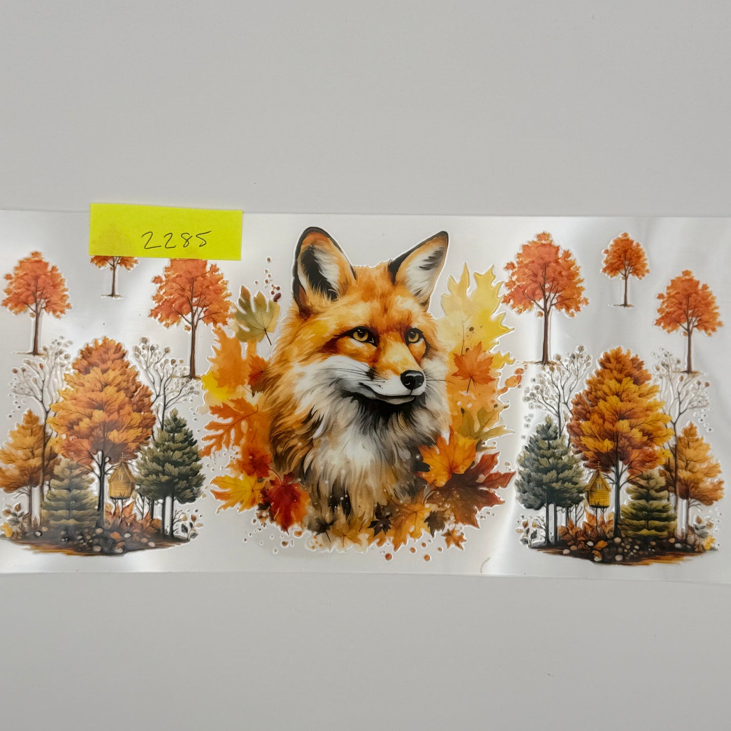 foxes & tress
