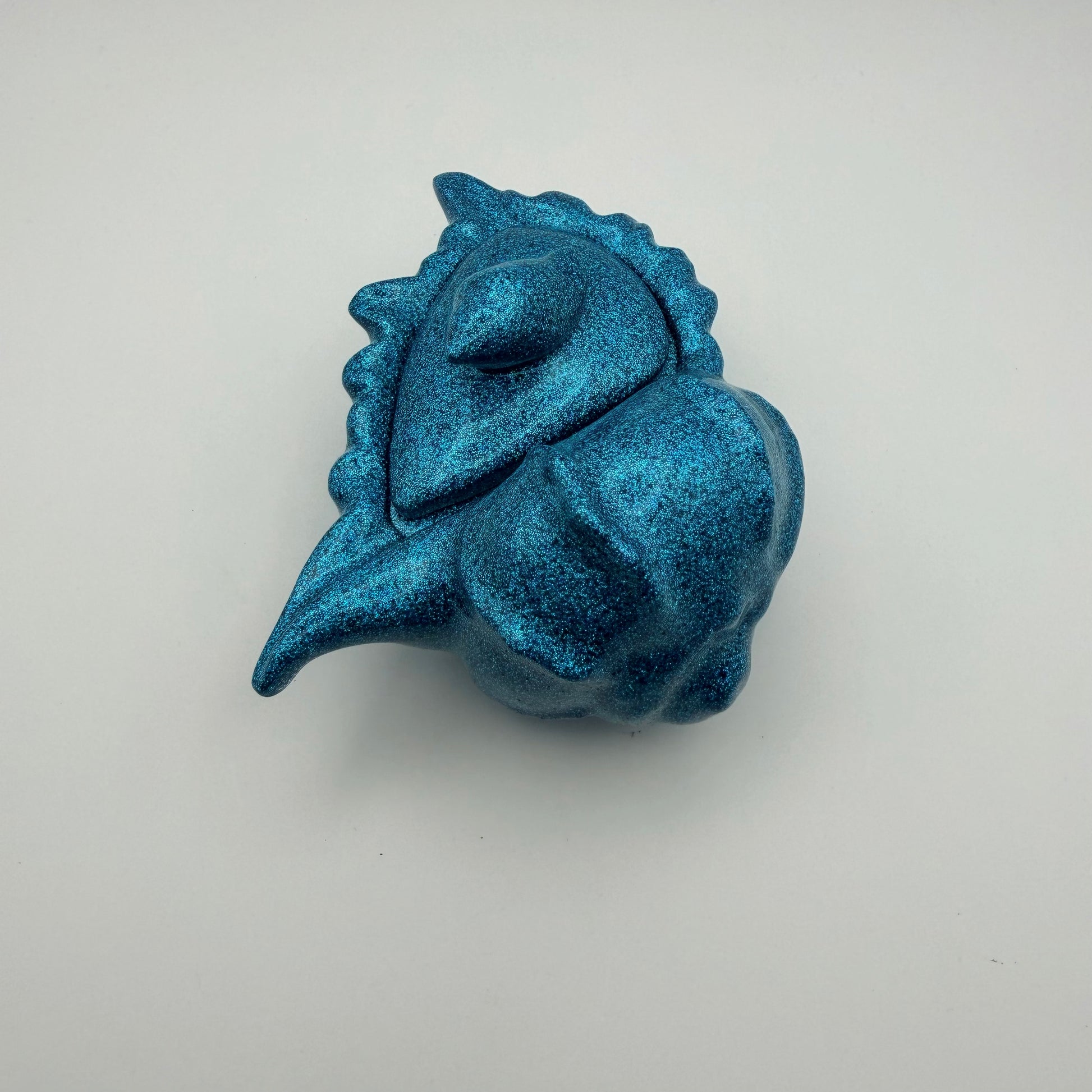 small conch shell container