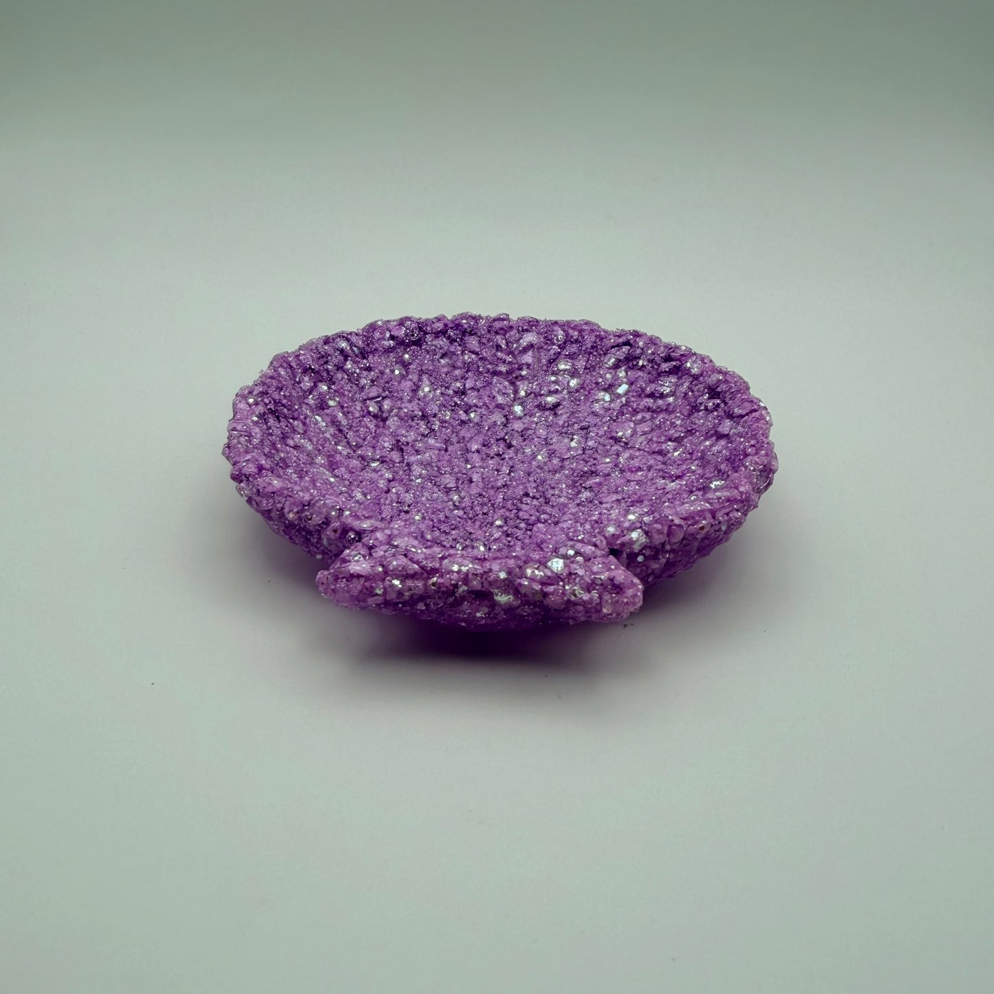 small seashell dish