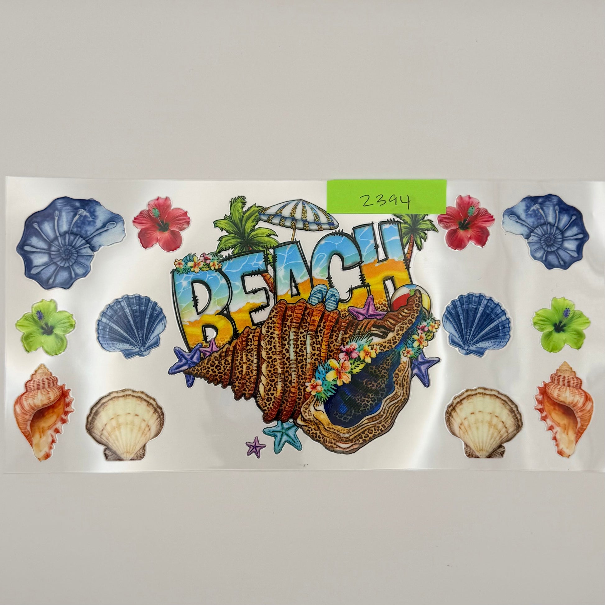 beach shells
