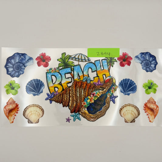 beach shells