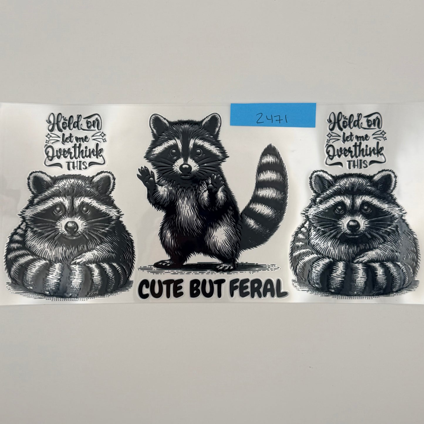 cute but feral raccoon