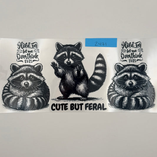 cute but feral raccoon