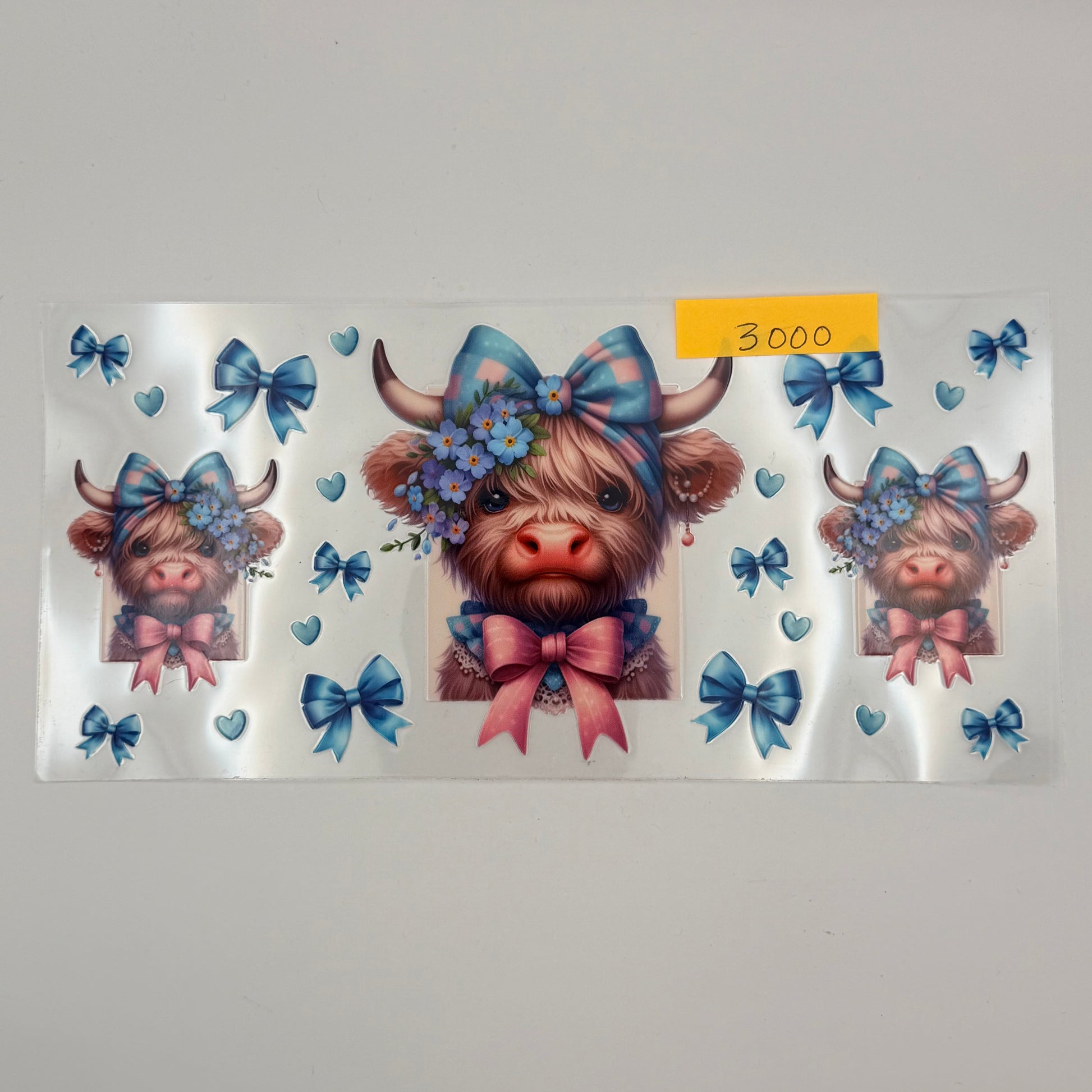 highland cow with blue and pink bows