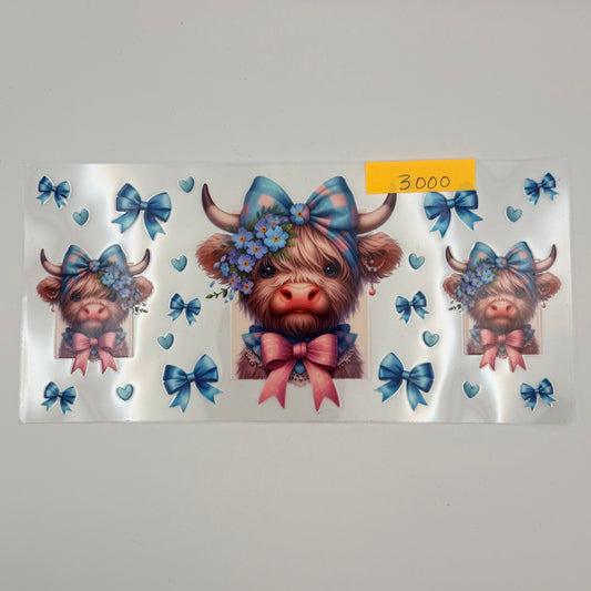 highland cow with blue and pink bows