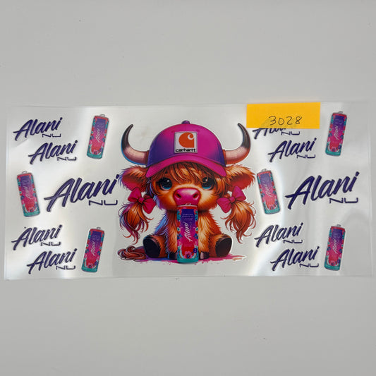 highland cow alani