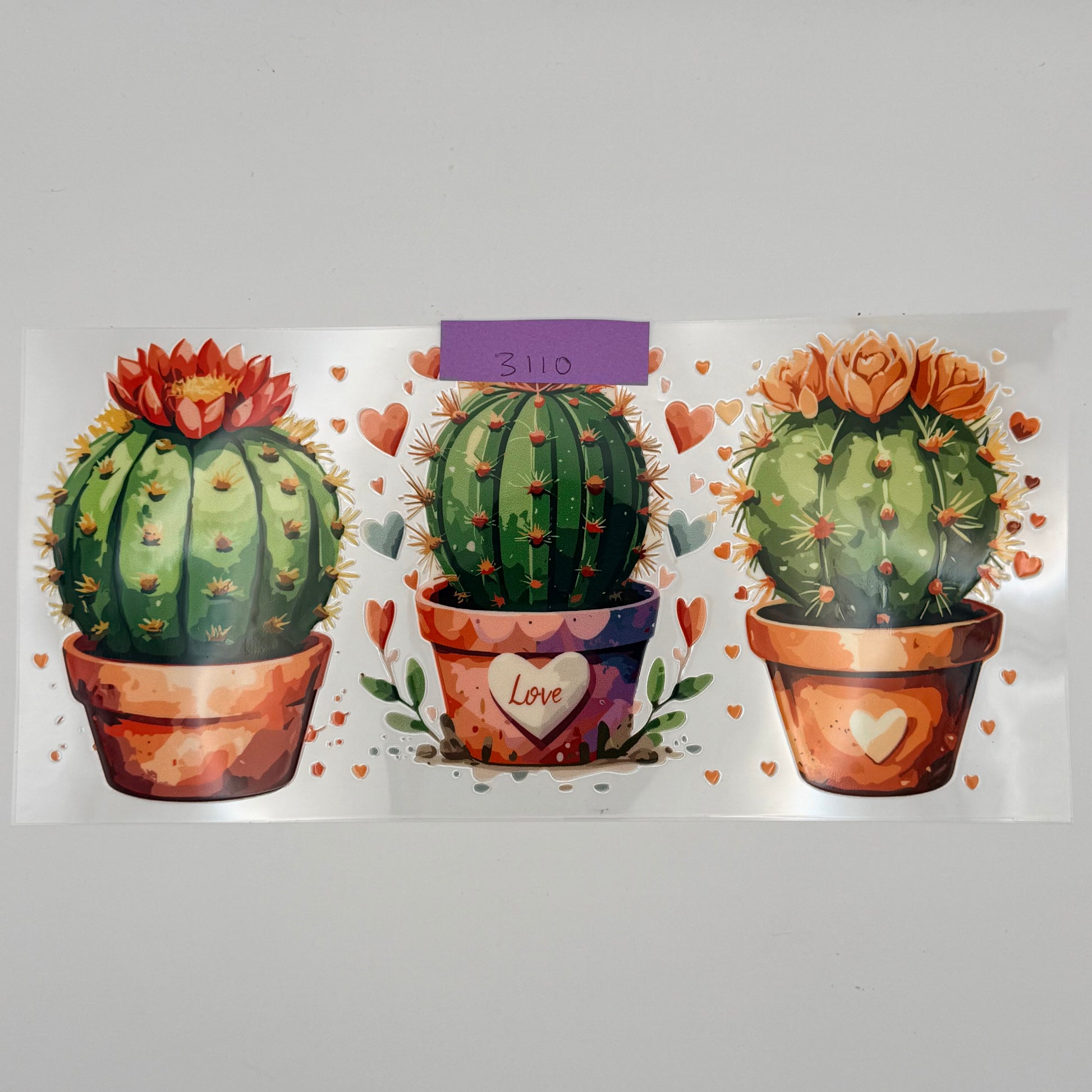 Cactus love