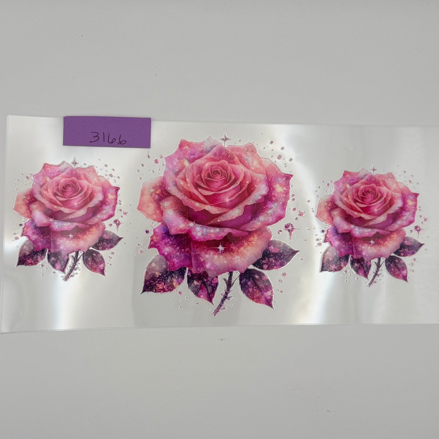 Pink roses
