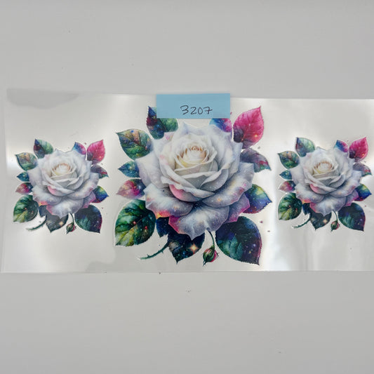 White roses