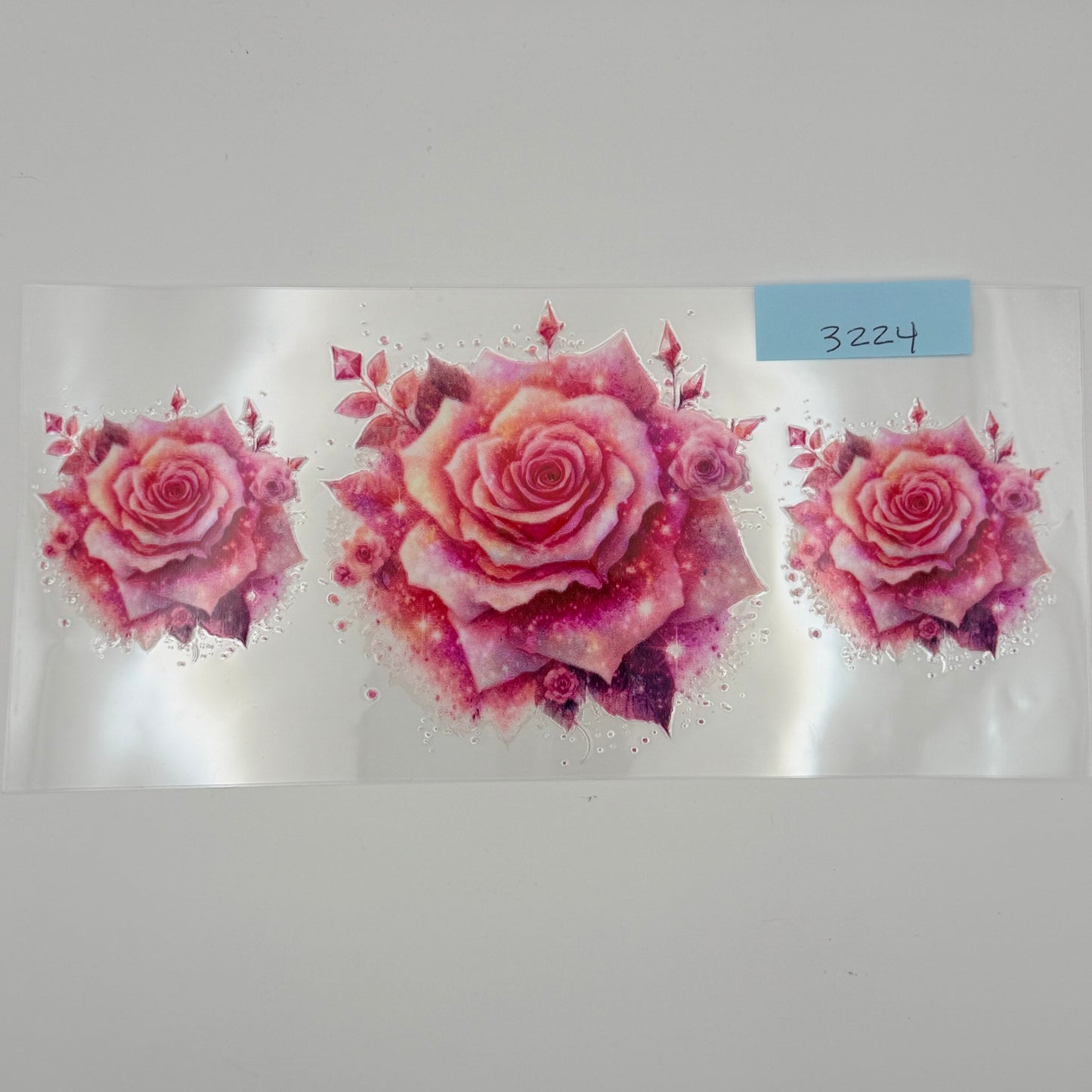 Light pink roses