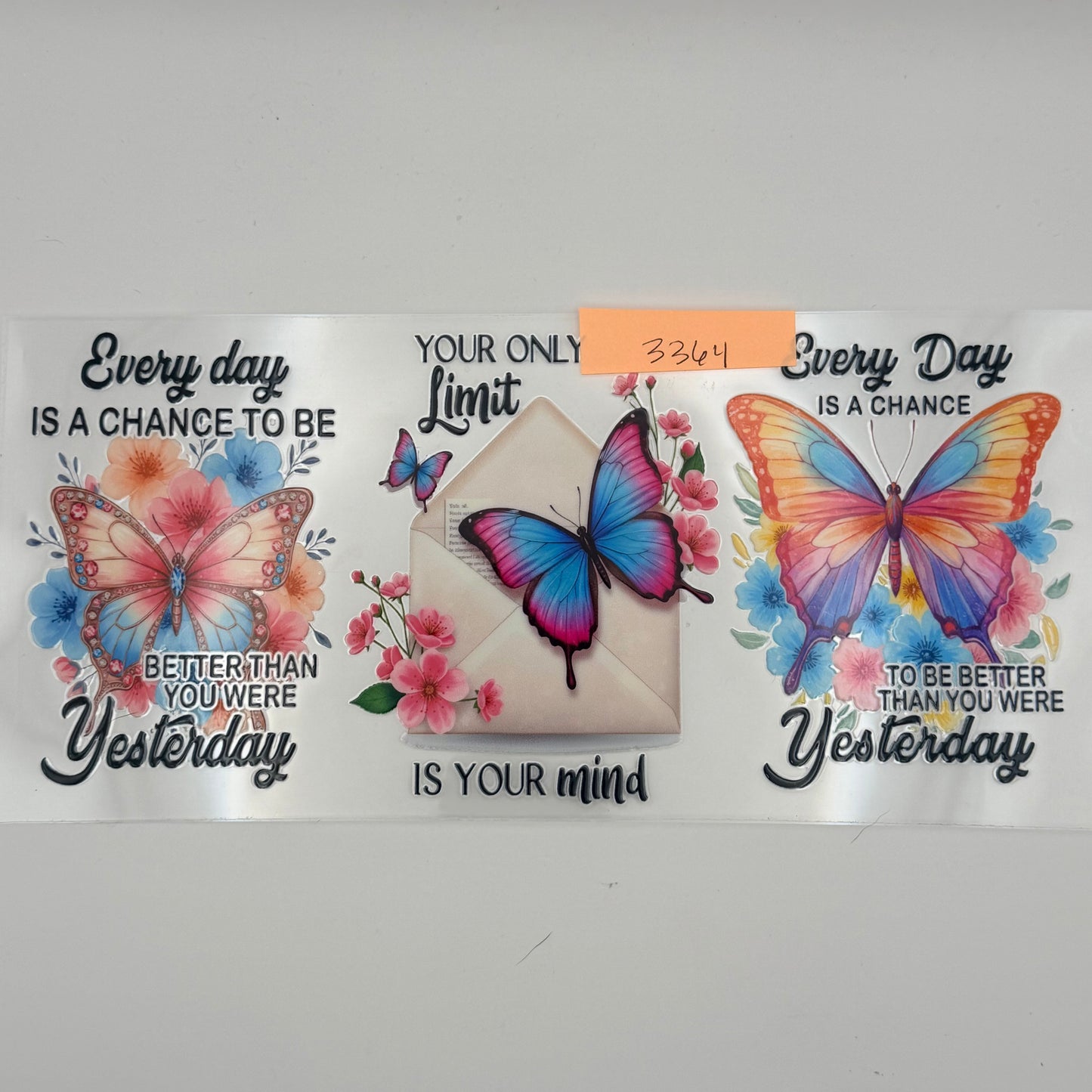 Butterfly every day is a chance