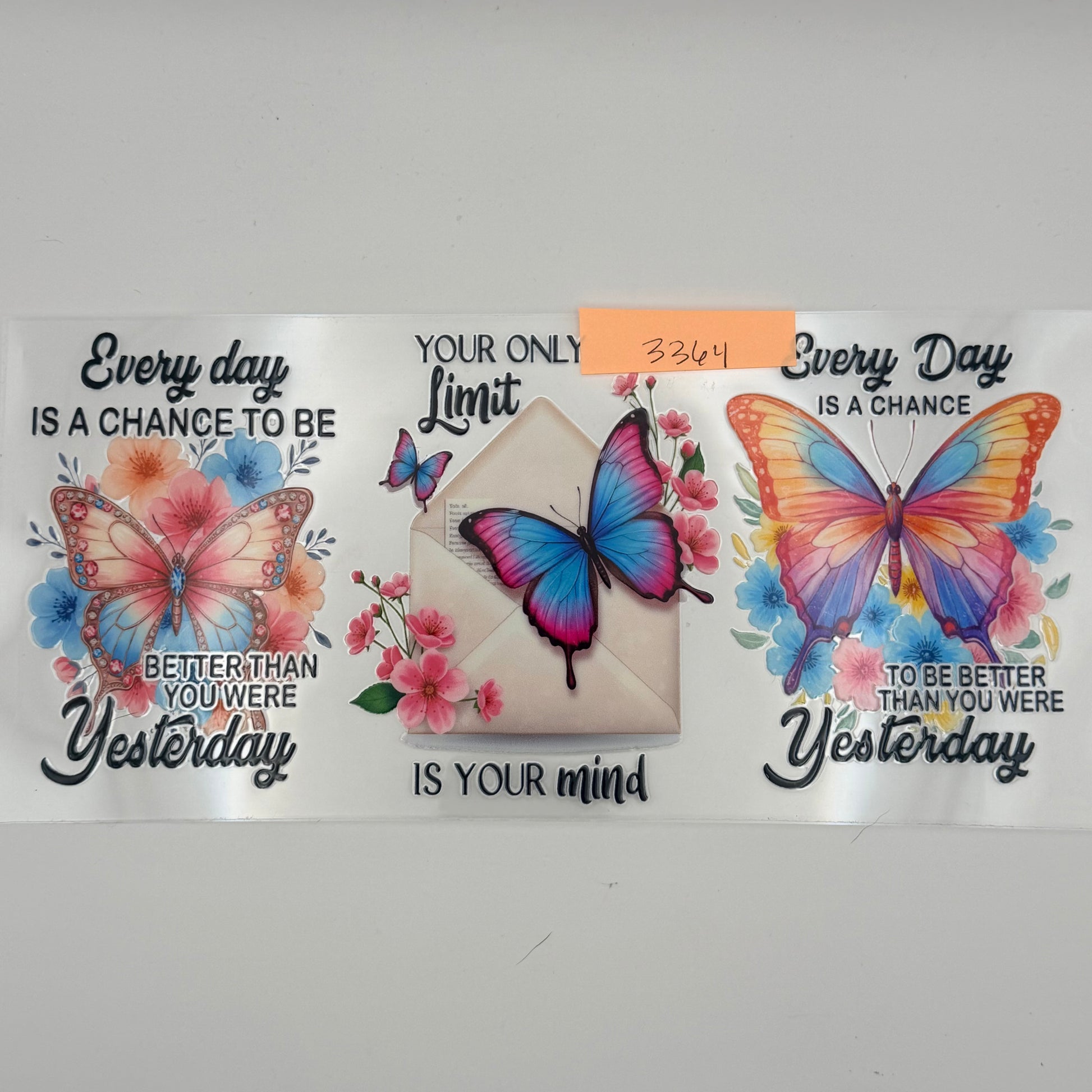 Butterfly every day is a chance