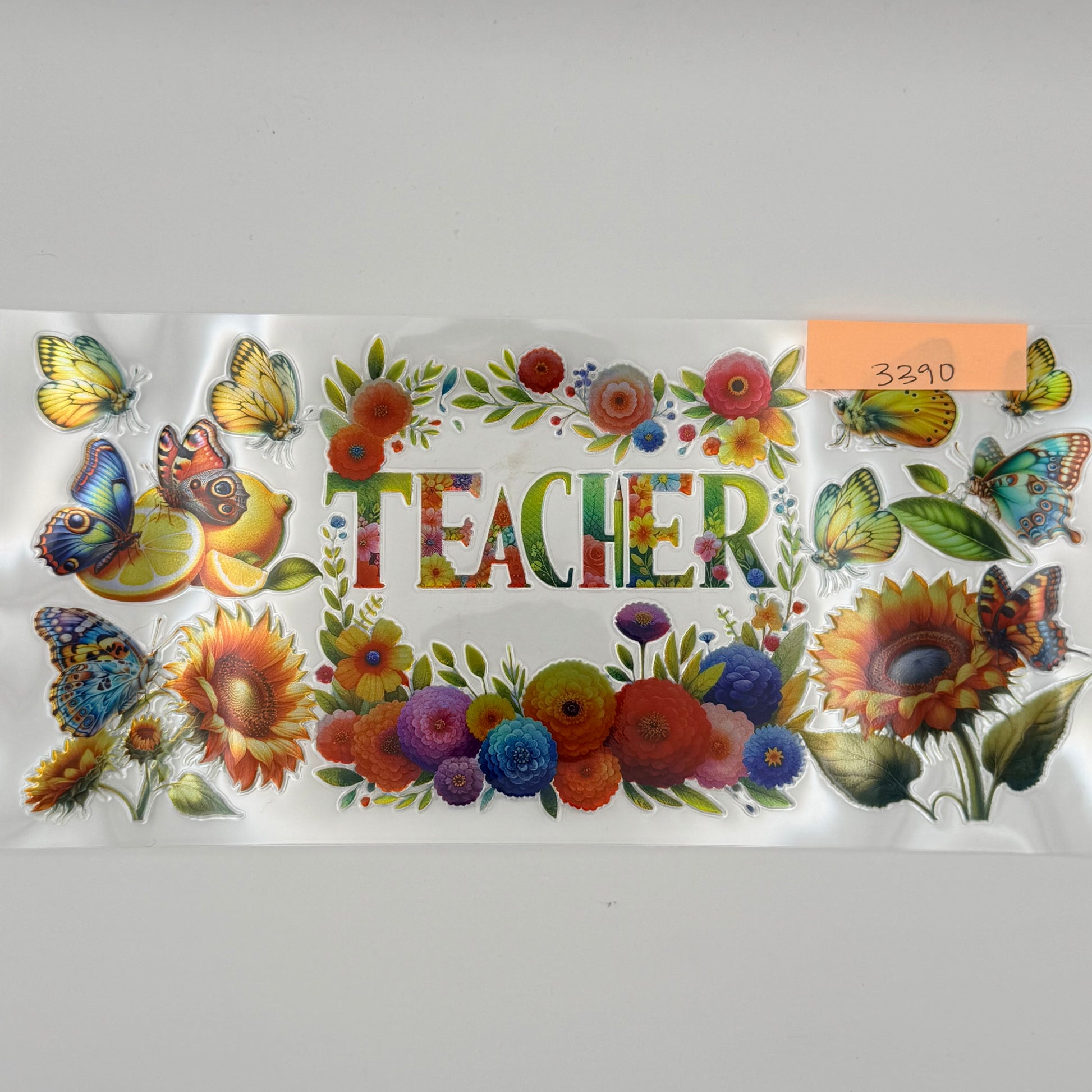 Teacher colorful holographic