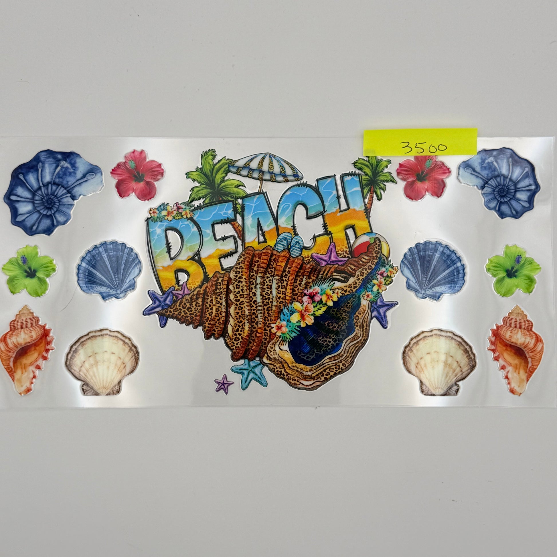 Beach shells and umbrella