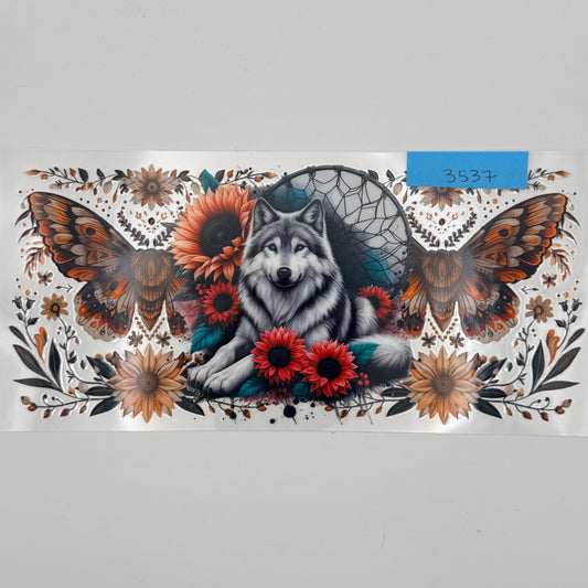 Wolf and moths
