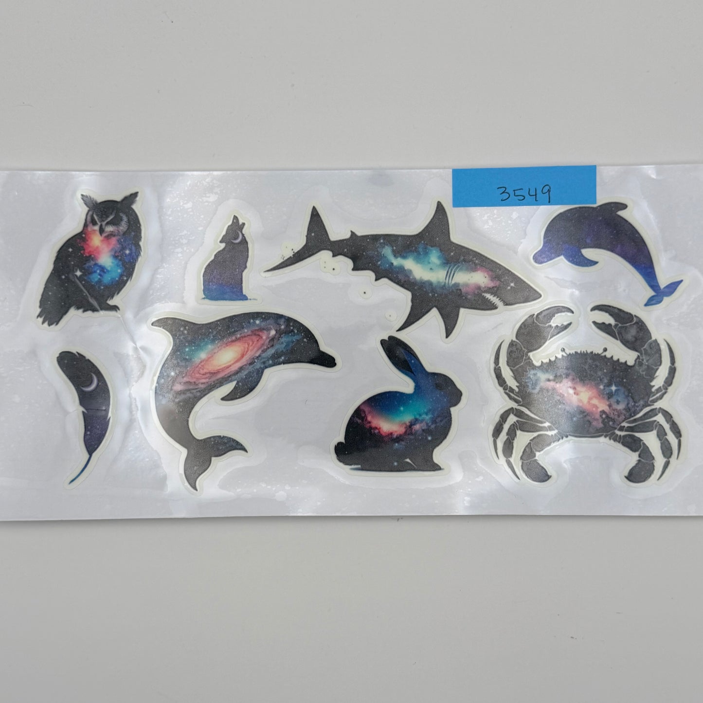 Glow in the dark ocean animals
